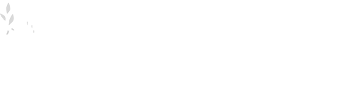 HerzHandVerstand