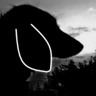 N.S.A. - Die NachSucheApp